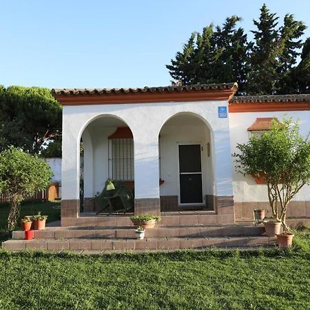 Chalet Con Piscina, Amplio Jardin Y Aire Acondicionado 치클라나 데 라 프론테라 외부 사진